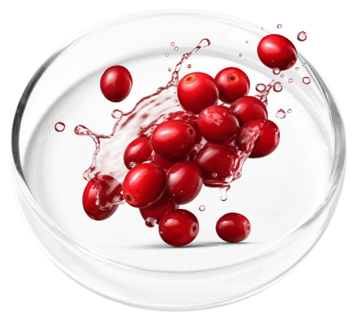 Probiotic Blend
